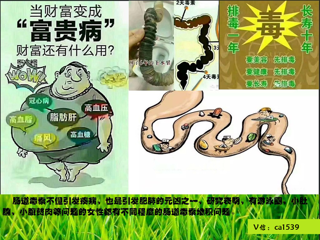 美藤果排肠毒是真的吗,对女性有什么副作用?