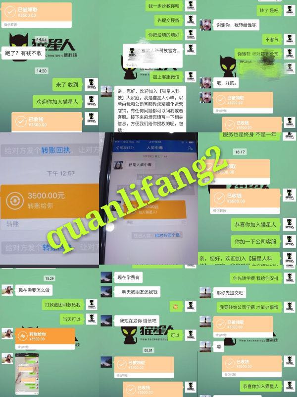 猫星人软件前景如何,加盟猫星人真的赚钱吗,怎